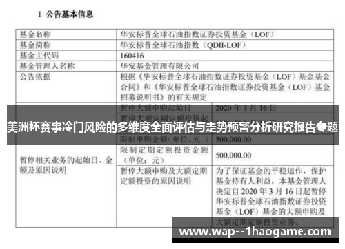 美洲杯赛事冷门风险的多维度全面评估与走势预警分析研究报告专题